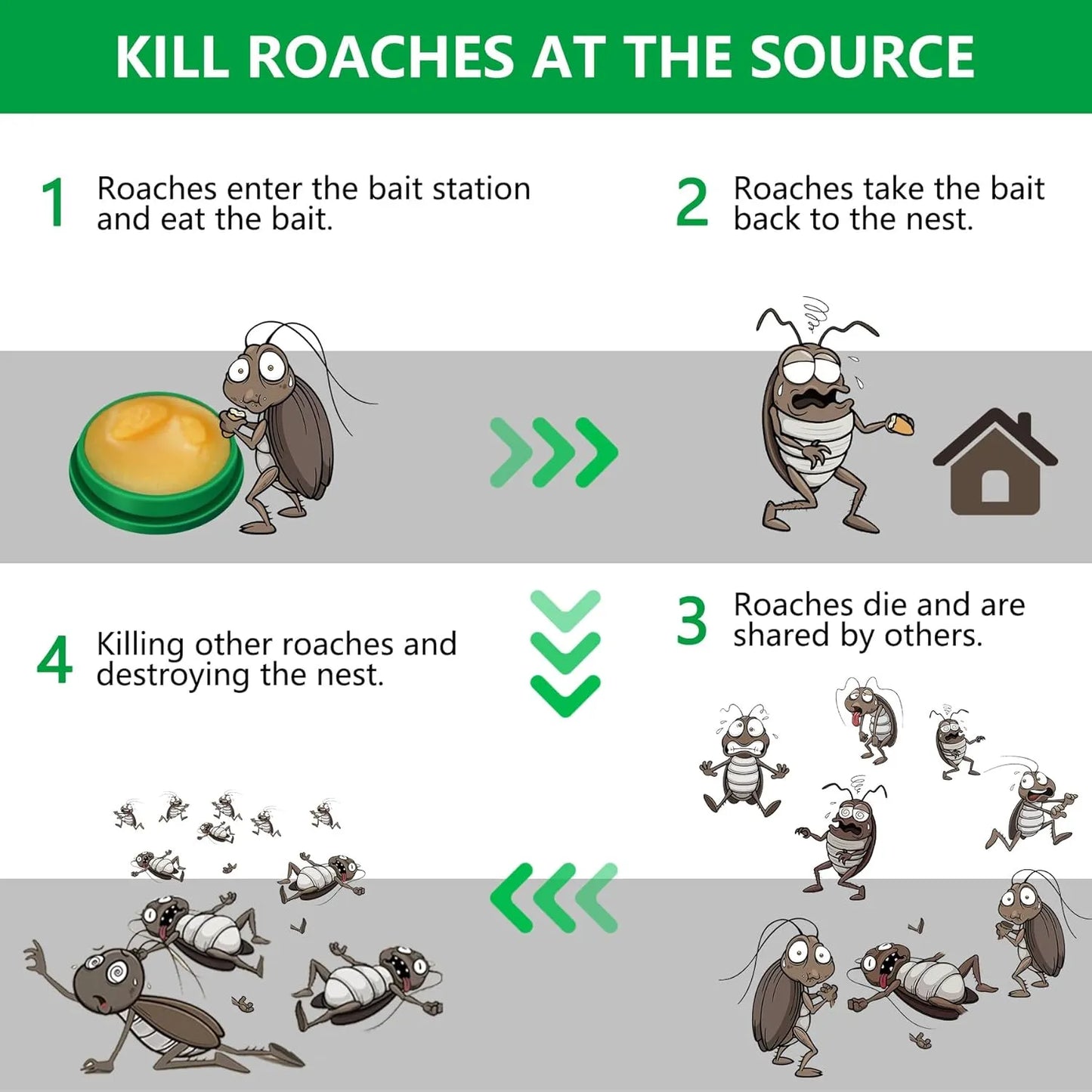 Roach Killer Indoor Repellent β Ultimate Solution for a Roach-Free Home